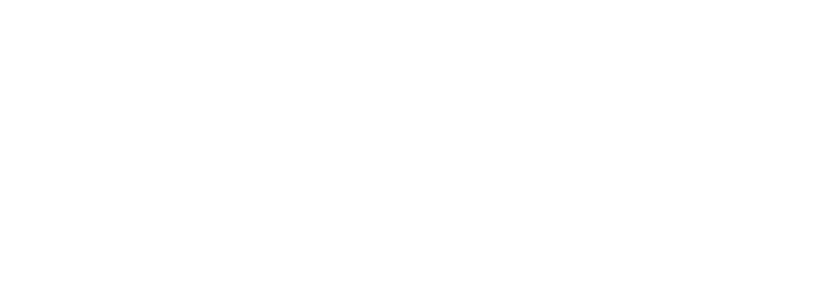 The Patrick Dolan Team